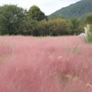 논공공단주유소 이미지