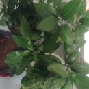 평호농장 이미지