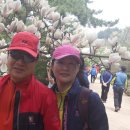 전주신흥고등학교 이미지