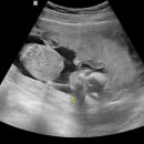 미래여성병원 이미지