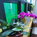 튼튼기쁨한의원 이미지