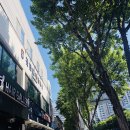 굿바디 휘트니스 이미지