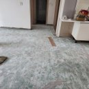 의안로155 이미지