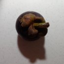 이마트에브리데이 광나루역점 이미지