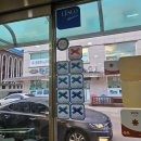 동광목장 | [강원/정선] 동광식당 : 8년 연속 미슐랭 블루리본 맛집! 콧등치기 및 황기족발 후기