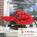 국제카센타 이미지