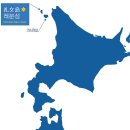 일본 홋카이도 야생화의 천국 4박5일6월30일~7월4일 이미지