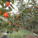 문수골농장 이미지