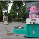 제주보쌈