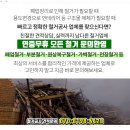 김기환이비인후과의원 네이버블로그