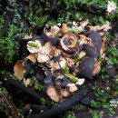 연자농장 이미지