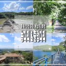 출렁다리 이팝나무길 | 충북 진천 농다리와 출렁다리 맛집 5월 여행지 추천