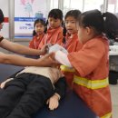 신도안동물병원 이미지