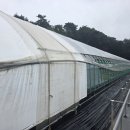 천창일농장 이미지