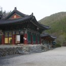응석사 - 991 | 응석사