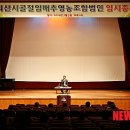 괴산시골절임배추영농조합법인 이미지