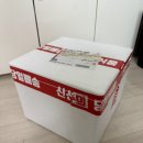 팔팔연구소 | 부산샐러드정기배송 직접 먹어본 후기! 팔팔식단연구소 단백질도시락으로 점심 해결