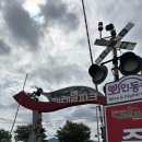 경남 김해 놀 거리 가볼 만한 곳 김해 낙동강 레일파크 레일바이크 와인 동굴 후기