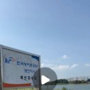 청춘여행