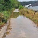 흑석세월교 이미지