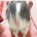 오렌즈 아산탕정역점 이미지