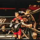 더블제이 복싱클럽 이미지