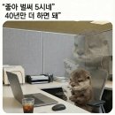 설희민박 | 감자먹고 두부먹고 신토불이 강릉여행
