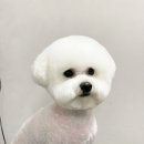 희동이의 하루 이미지