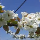 태백농원 이미지