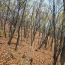 동막공원 이미지