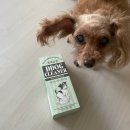 강쥐 | 요산을 지워주는 소변 탈취제,똑똑강쥐 강아지소변제거제 사용 후기