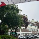 인천고등학교 | [특강] 접근성 콘텐츠와 청소년의 만남: 서인천고등학교 특강 후기