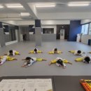 태권도 다움 이미지