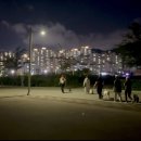 개뭉치반려견센터 - 여수시 충무로 73 | 개뭉치반려견센터