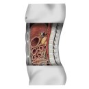 BNA FITNESS 이미지