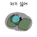 컬러로그