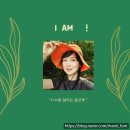 마미포레