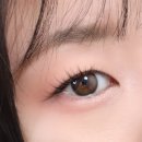 로즈리나 이미지