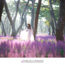 황성공원 시민운동장 이미지