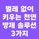 벌레 없이 키우는 천연 방제 솔루션 3가지