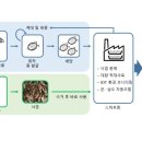 자연순환연구소