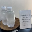 인천 부천 돌촬영 심수리스튜디오 내돈내산 후기