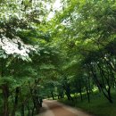 금정사 Daum카페
