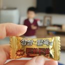 이성훈한의원 | #210 2024년 갑진년 설날연휴 ep.3