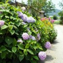 수은마을 이미지