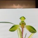 웅비체육관 이미지