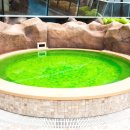 오션어드벤처 이미지