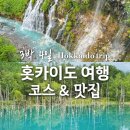 산&들모빌리티 | 3박 4일 일본 홋카이도 여행 코스 / 맛집 / 쇼핑리스트 / 렌트카 총정리 (삿포로, 오타루, 비에이...