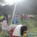 돌산봉덕초등학교 이미지