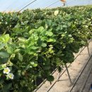 양산한우농장 이미지